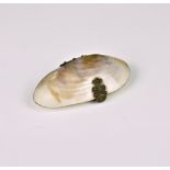 A Victorian polished mussel shell purse with brass clasp and hinge and red morocco interior, 3¼