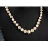 A single strand cultured pearl necklace with diamond clasp 1920s-30s, the pearls graduated from 6.
