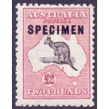 AUSTRALIA STAMPS : 1915 £2 Black and Rose, lightly mounted mint over printed Specimen.