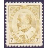 STAMPS : CANADA : 1903 7c Yellow Olive,