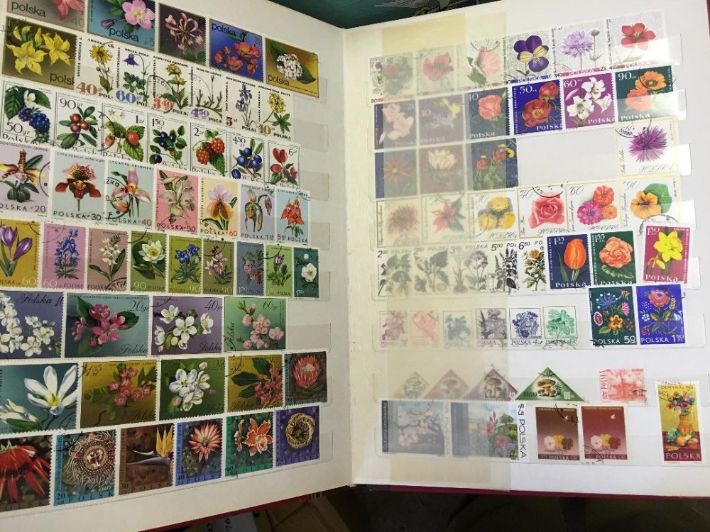 STAMPS : Various albums of mixed stamps mainly of a thematic nature, Birds, Shells,