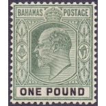 STAMPS : BAHAMAS :: 1902 lightly mounted mint set to £1 SG 62-70