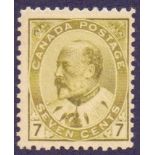 STAMPS : CANADA : 1903 7c Yellow-Olive,