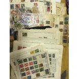 STAMPS : USA Accumulation of mainly 19th Century issues on stack pages and album pages (100's) a
