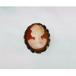 A modern shell cameo brooch, female bust, in 9 carat hallmarked gold surround
