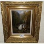 Sidney Scott: "Waterfall", woodland landscape, oil on canvas, signed, 8.5" x 6.5", framed