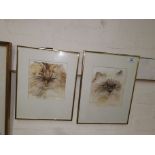 June Crawshaw: "Brown Tabby" & "Himalayan Persian", pair of watercolours, signed, 8" x 6.5",