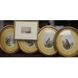After Henry Bright: watercolours, a set of 4 studies of birds, 28cm x 23 cm, oval mounts and frames;