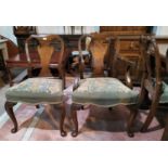 An early/mid 20th century set of 6 (4 + 2) walnut dining chairs with shaped splats and overstuffed