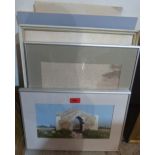 A quantity of framed and unframed pictures