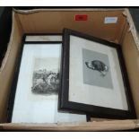 Four small hunting engravings and a print of a hound