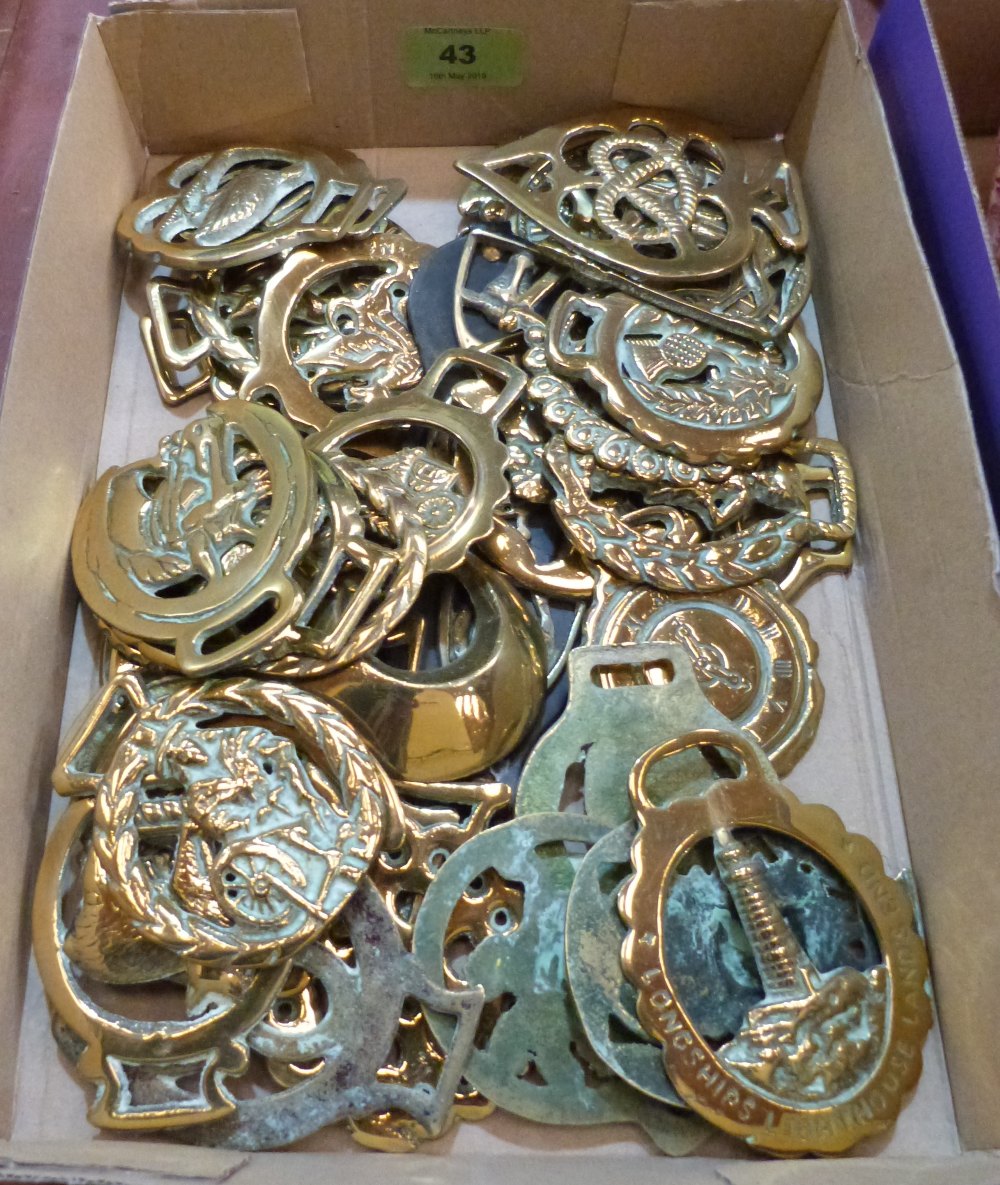 A collection of horse brasses