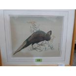 A Japanese woodblock print of a pheasant by Koson. 1877-1945. 9' x 11'