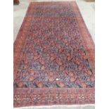 A Persian carpet with blue and red gul field. 146' x 77'