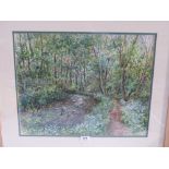 BRITISH SCHOOL. 20TH CENTURY Woodland path with stream. Indistinctly signed. Watercolour 16' x 20'