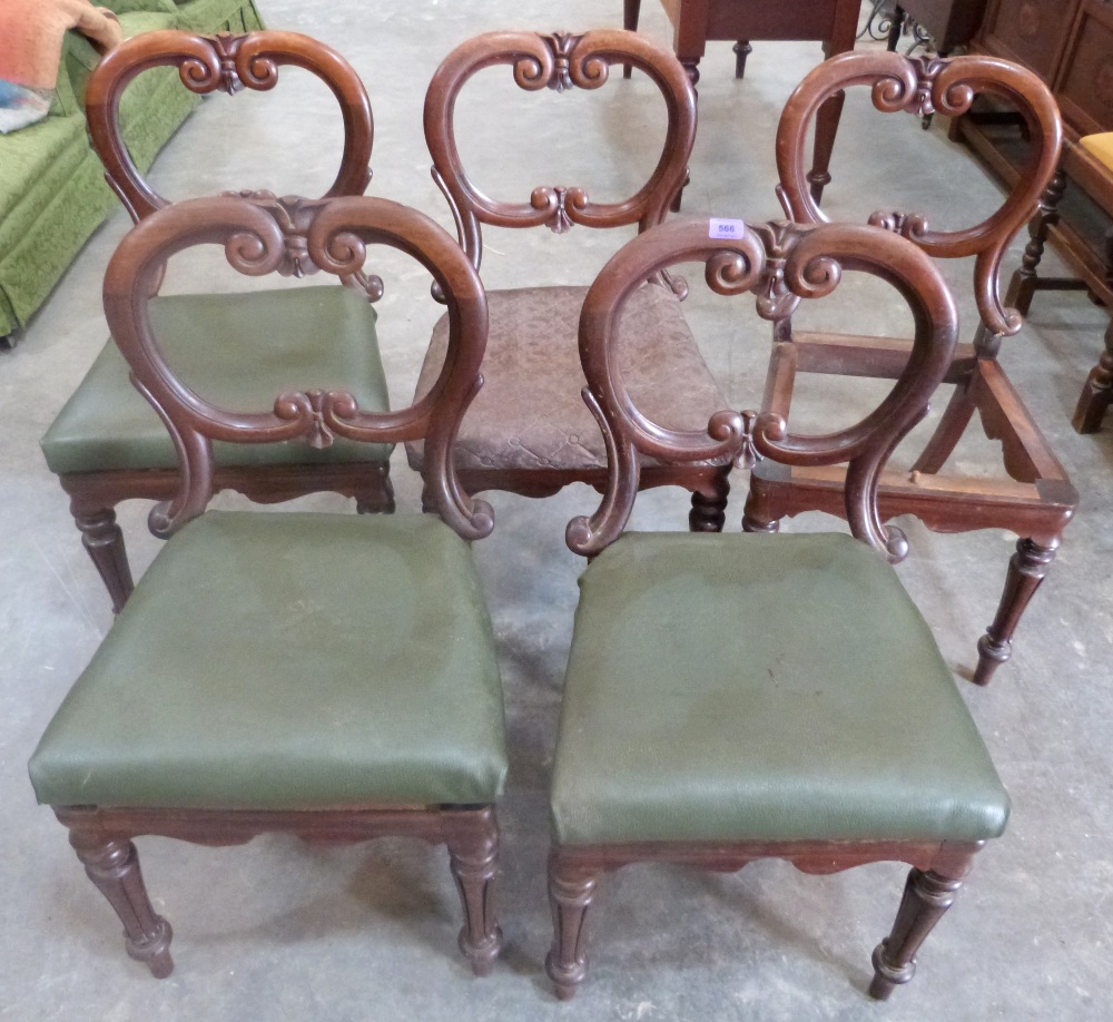 A set of five Victorian rosewood balloon back dining chairs.