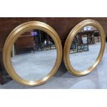 A pair of gilt oval framed wall mirrors. 24' high