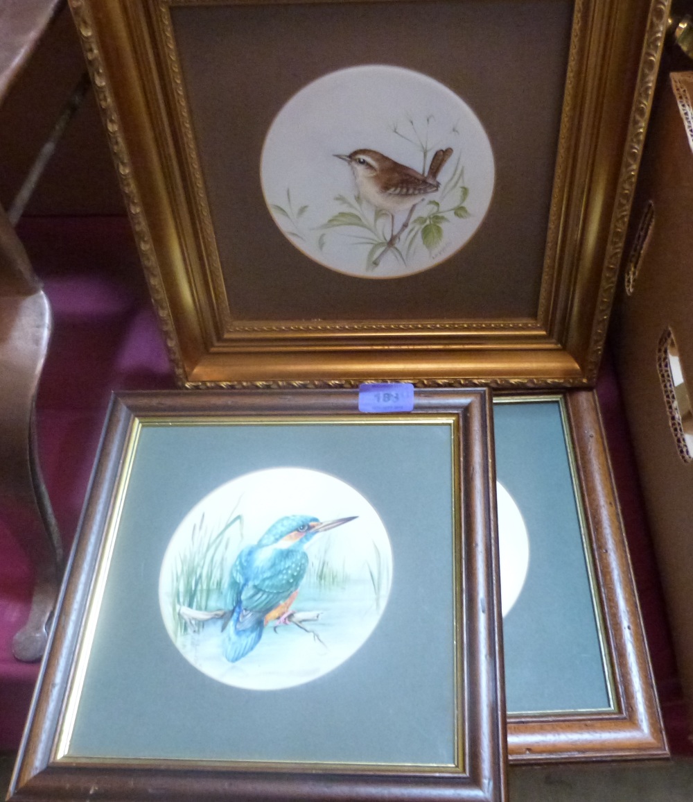 Three framed Royal Worcester plaques decorated with birds by S.D. Griffiths