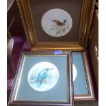 Three framed Royal Worcester plaques decorated with birds by S.D. Griffiths