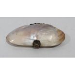A bi-valve shell mother-of-pearl purse. 4' wide