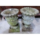 A pair of reconstituted garden urns on pedestal bases. 20' high