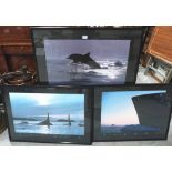 Three framed photographic prints by Talbot; Delphinus Delphis, Aquadyne and Twilight Bound