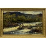 RIVER IN SPATE, AN OIL BY GEORGE PAUL CHALMERS