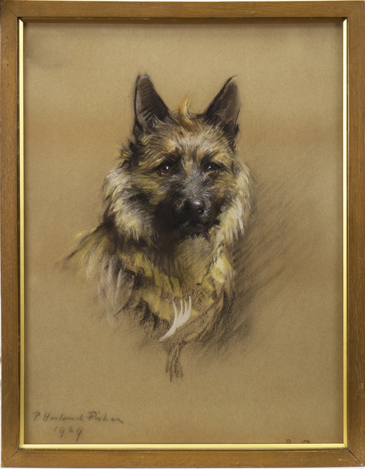 STUDY OF A DOG IN PASTEL