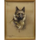 STUDY OF A DOG IN PASTEL