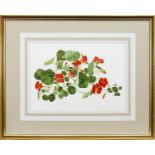 NASTURTIUMS, A WATERCOLOUR BY ELSPETH HARRIGAN