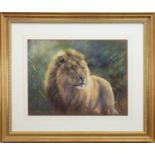 LION, A PASTEL BY JOEL KIRK