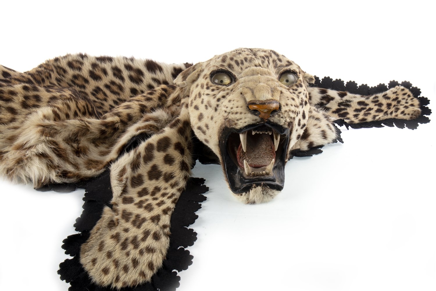 A LATE 19TH/EARLY 20TH CENTURY LEOPARD SKIN RUG - Image 2 of 2