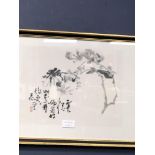 THREE CHINESE BOTANICAL WATERCOLOURS