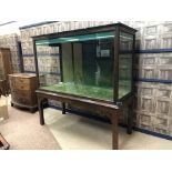 EARLY 20TH CENTURY DISPLAY CASE