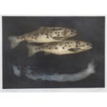 TROUT, AN ARTIST PROOF ETCHING BY BOB WYATT