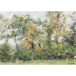 WOODED LANDSCAPE, A PASTEL BY SALLY MITCHELL