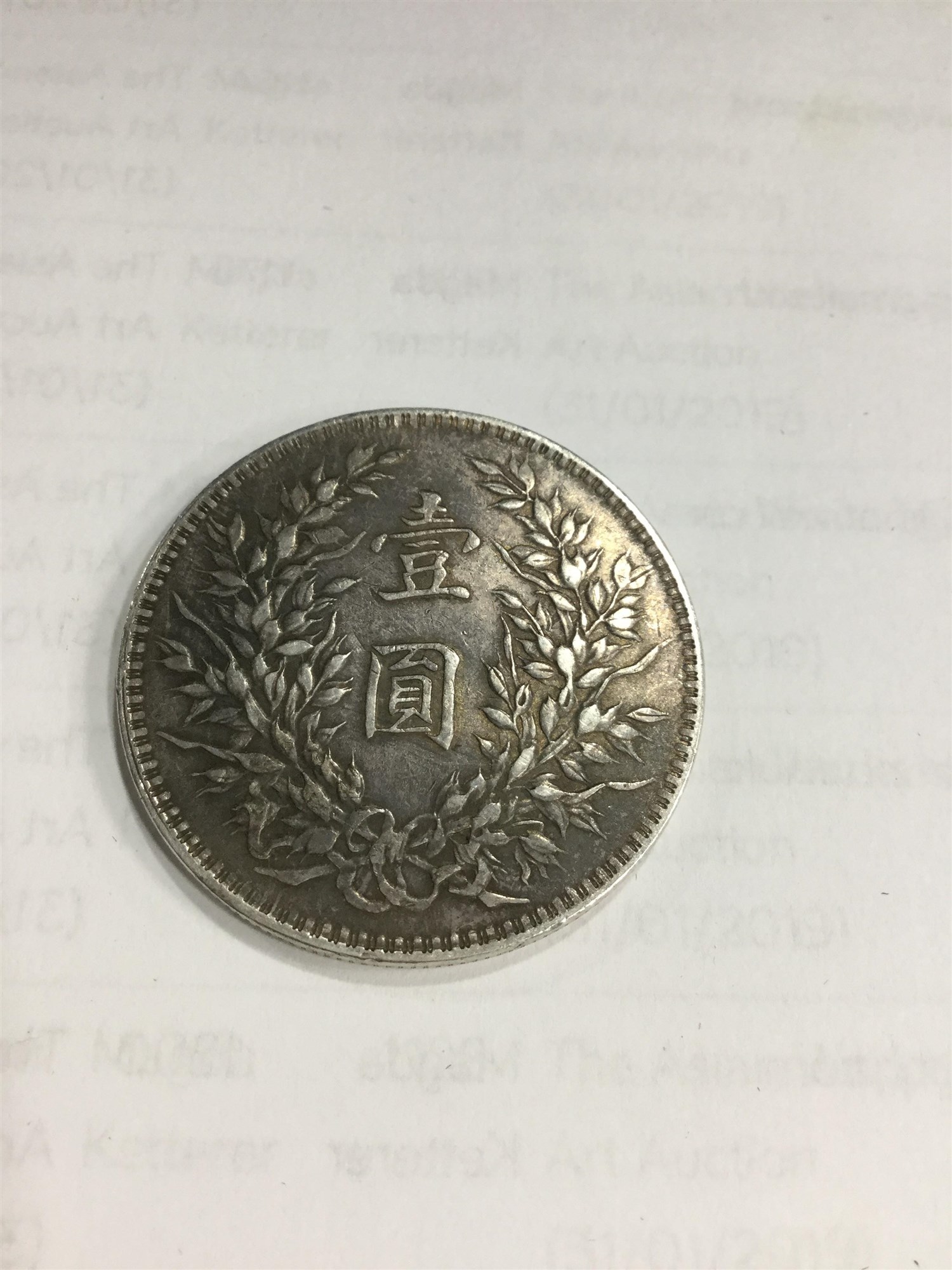 A CHINESE REPUBLIC YAN AND ANOTHER COIN - Image 3 of 7