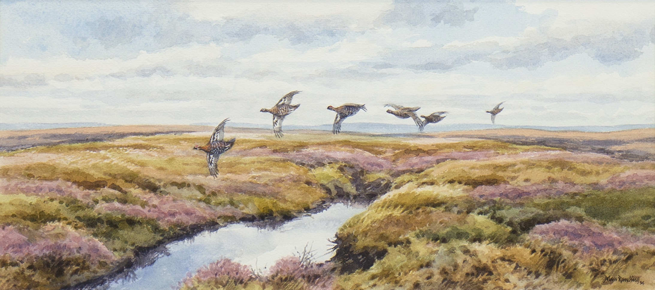 PHEASANTS IN FLIGHT, A WATERCOLOUR BY BRIAN RAWLING