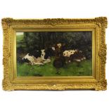 THREE CALVES RESTING, AN OIL BY DAVID GAULD