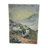 A WATERCOLOUR OF SHEEP BY ERNEST BARKER