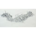 NEST I, A LIMITED EDITION PRINT BY LOUISE SCOTT
