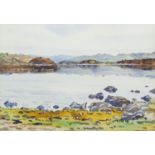 MARY HOLDEN BIRD, ISLAND IN LOCH MORAR