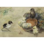 CHICKS, A WATERCOLOUR ATTRIBUTED TO NELLIE ELLEN HARVEY
