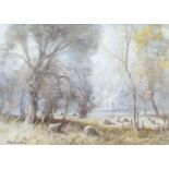 SHEEP GRAZING, A WATERCOLOUR BY TOM CAMPBELL