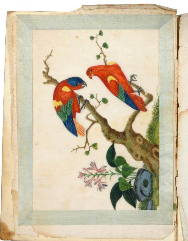 AN ALBUM OF TEN CHINESE RICE PAPER PICTURES OF BIRDS AND FIGURES, C1820 12 x 17.5 or the reverse, in