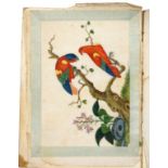 AN ALBUM OF TEN CHINESE RICE PAPER PICTURES OF BIRDS AND FIGURES, C1820 12 x 17.5 or the reverse, in