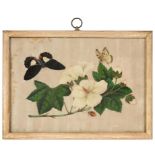 ENGLISH SCHOOL, 19TH C A ROSE BOUQUET watercolour, 20 x 17.5, rosewood frame, a 19th c Chinese