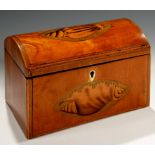 A GEORGE III SATINWOOD TEA CADDY, C1780 the line inlaid front and coffered lid each with a large