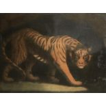 JOHN MURPHY (C1748-1820) AFTER JAMES NORTHCOTE, RA A TYGER mezzotint published by J & J Boydell