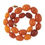 A NECKLACE OF TWENTY TWO AMBER BEADS 45g++Good condion